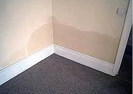 Rising Damp