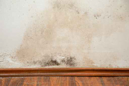 DampTreatment Scottish Borders