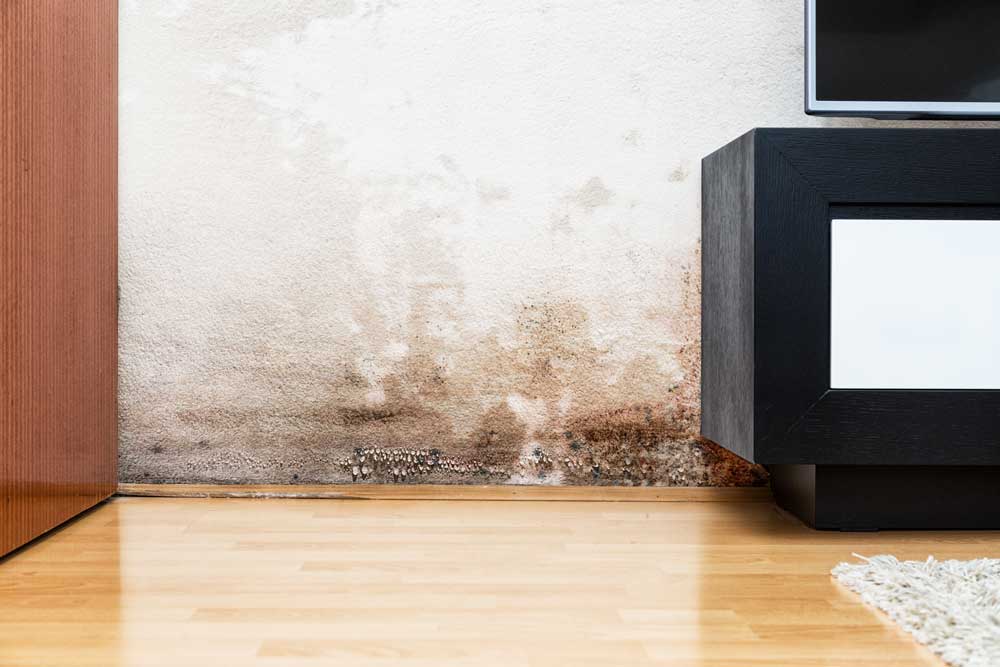 Damp Proofing Scottish Borders