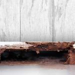 Timber Decay Treatment
