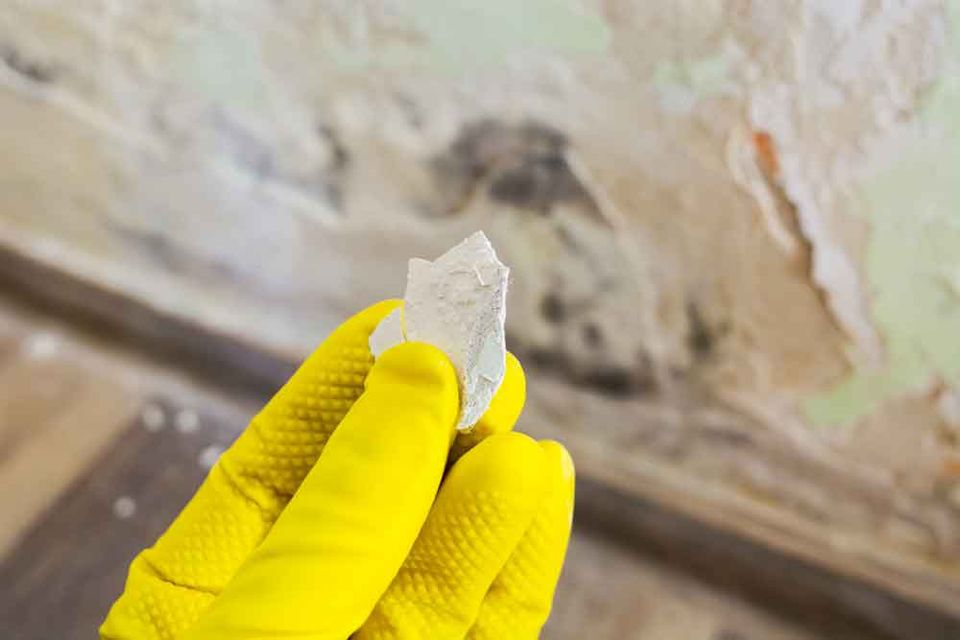 Damp Is Bad For Your Health