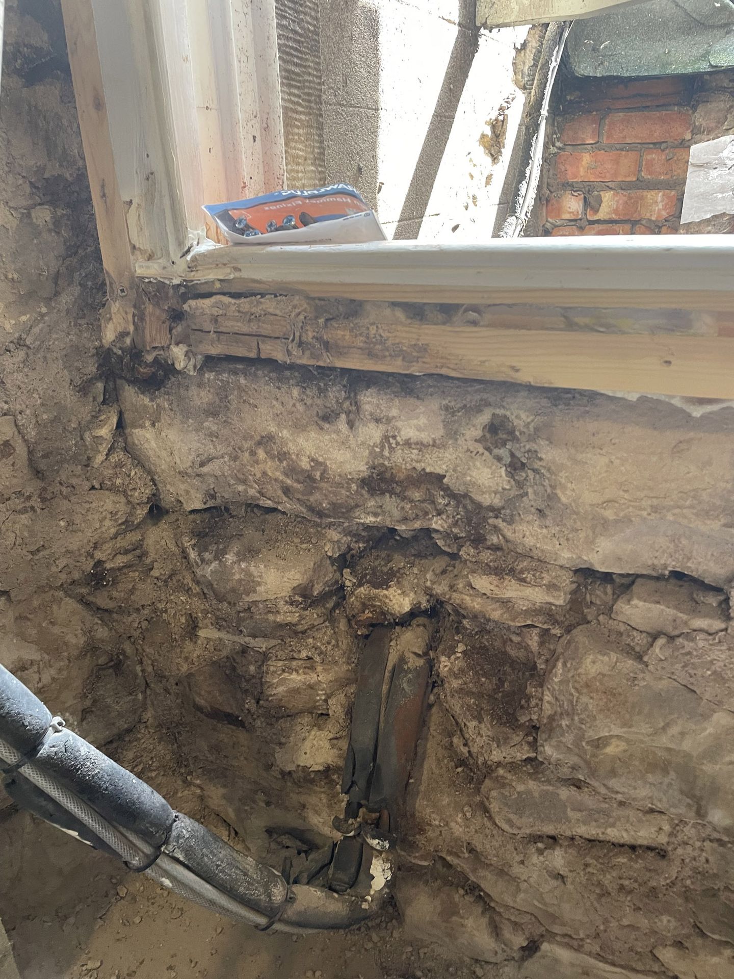Picture of Dry Rot inside an Edinburgh based building