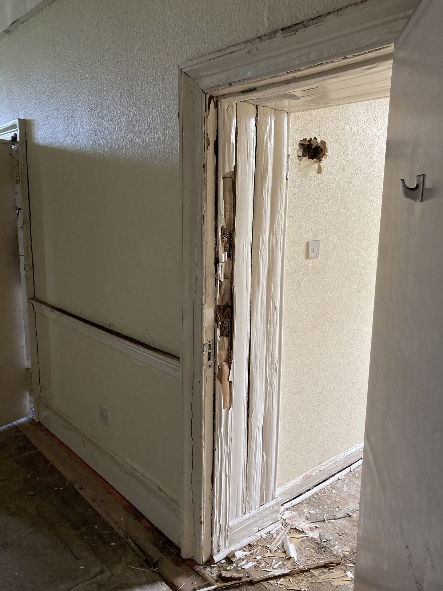 Picture of Dry Rot inside an Edinburgh based building